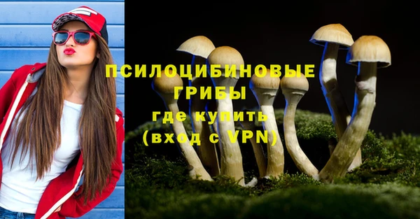 МДПВ Алзамай