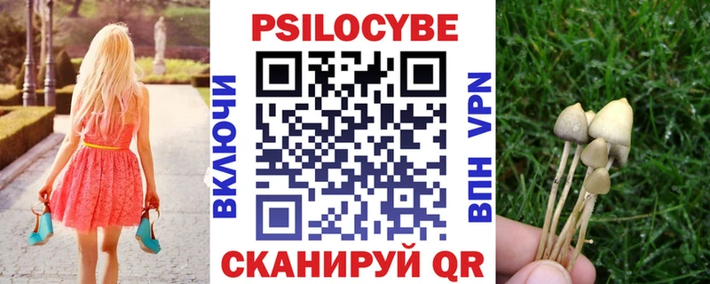 сайты даркнета формула  где найти наркотики  Павловский Посад  Псилоцибиновые грибы мухоморы 