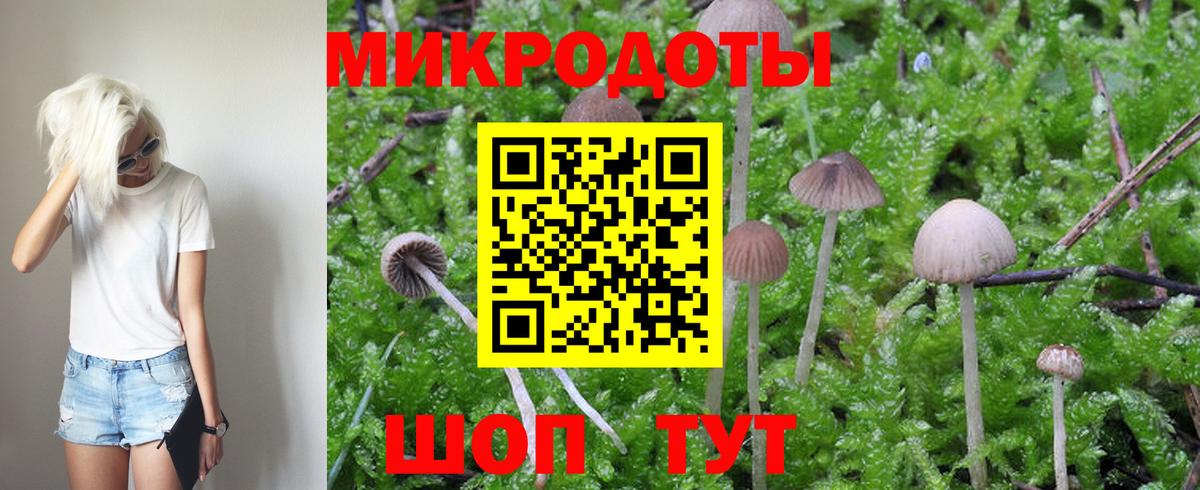 Псилоцибиновые грибы мицелий Павловский Посад
