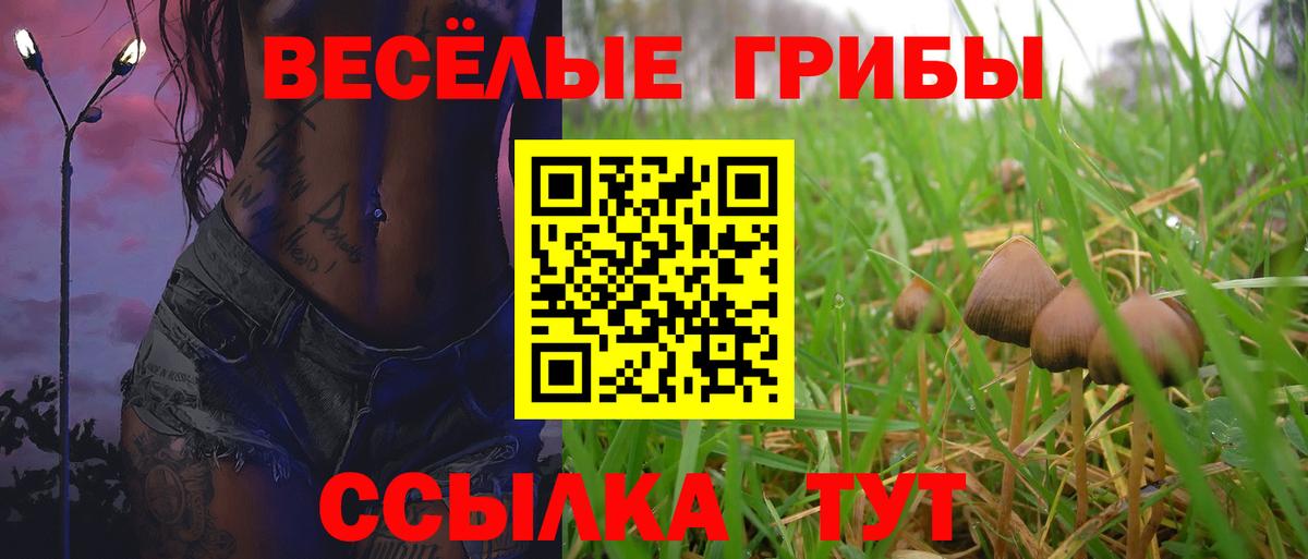 Псилоцибиновые грибы Cubensis  даркнет сайт  Псилоцибиновые грибы мицелий  Павловский Посад  Вход с VPN 