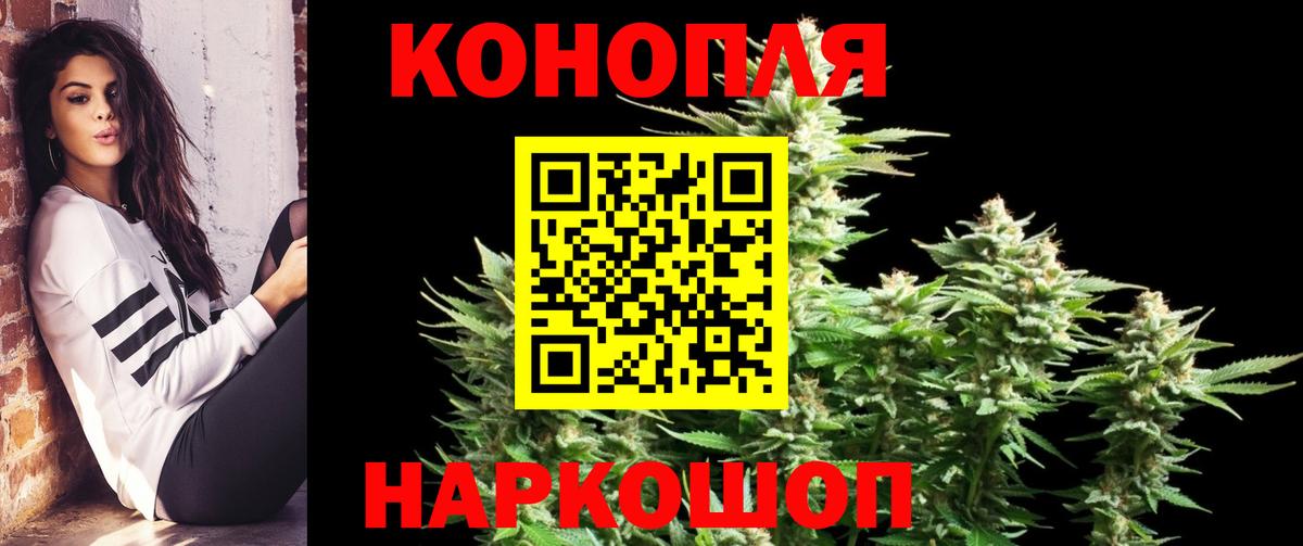 Канабис планчик Павловский Посад